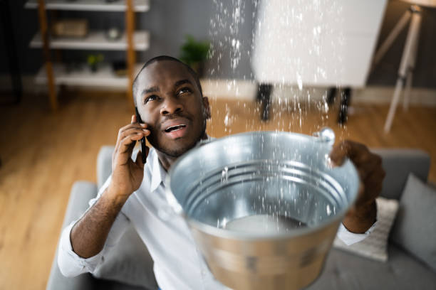 Reliable Gastonville, PA Water damage restoration Solutions