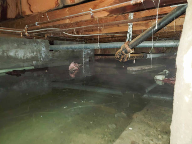  Gastonville, PA Water damage restoration Pros