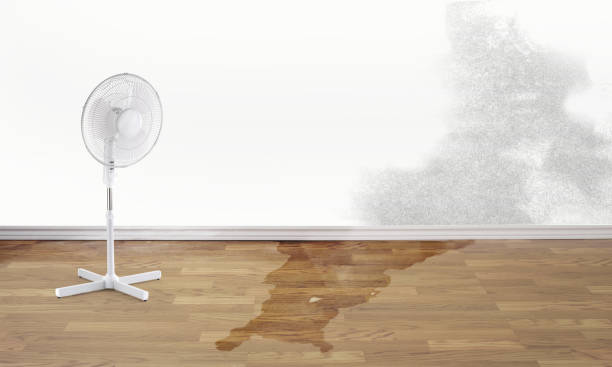 Best Water damage mitigation services  in Gastonville, PA