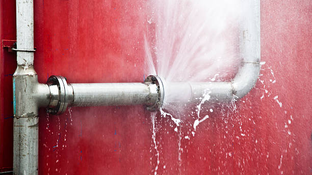 Best Water damage cleanup near me  in Gastonville, PA